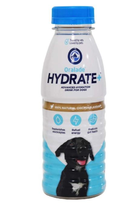 ORALADE HYDRATE+