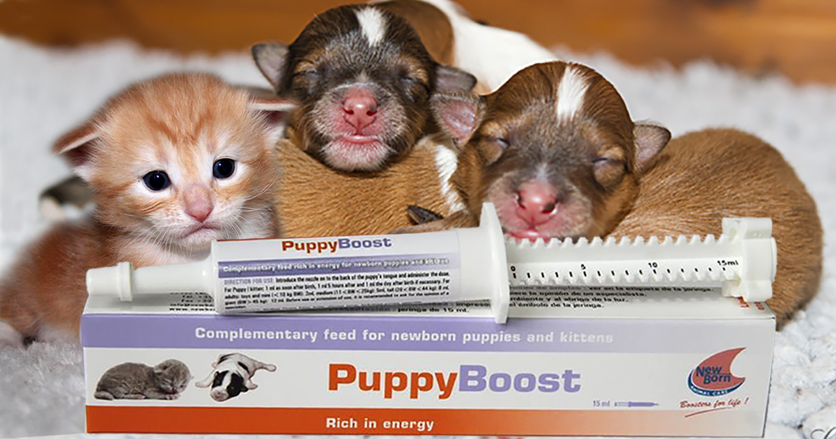 PUPPYBOOST PET